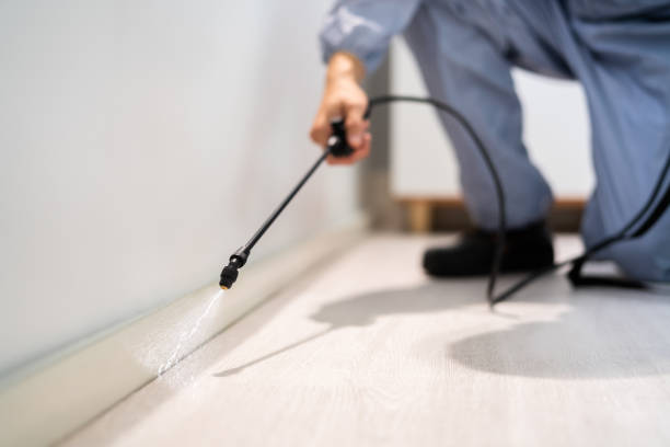 Certified termite inspector examining foundation in Manchester
